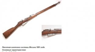 The evolution of the domestic carbine (16 photos)