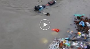 Храбрая собака спасает своих щенков во время наводнения
