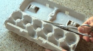 Where to put the egg cartons? What can you make from an egg carton (20 photos)