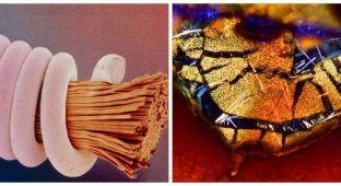 20 everyday things that look impressive under a microscope (21 photos)