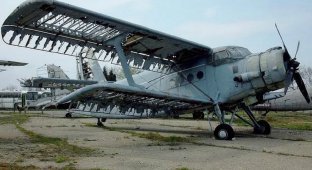 Почему крылья "Кукурузника" Ан-2 всегда были обтянуты тканью (10 фото)