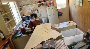 Дэвид Тейт вернулся из отпуска и обнаружил в своем доме необычных гостей (10 фото)