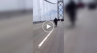 A selection of crazy extreme sports