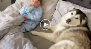 Собака охраняет покой малыша