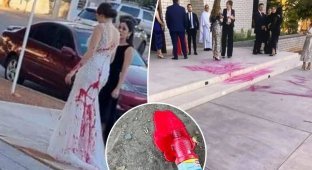 Мать попыталась сорвать свадьбу сына, облив невесту краской (5 фото)