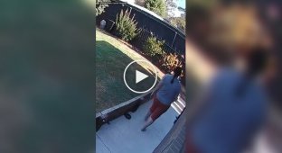 A venomous snake wrapped itself around a woman's leg in the yard of a house