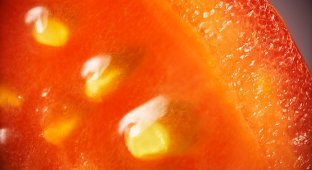 Мелочи жизни (20 фото)