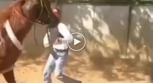 Instant karma for the guy who kicked the horse