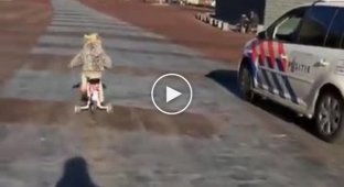 Голландские полицейские устроили гонку с маленькой девочкой