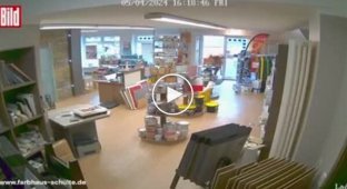 In western Germany, a cow entered a hardware store