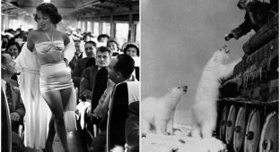 30 curious historical pictures from different years (31 photos)