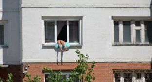В Новосибирске жалуются на голую женщину, загорающую в окне второго этажа (7 фото)