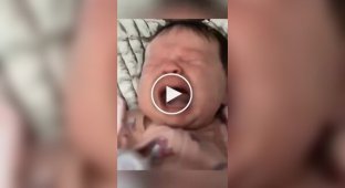 Как животные реагируют на плач ребенка