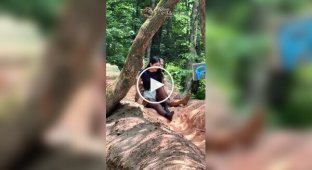 An unusual entertainment appeared in a Chinese park - a mud slide