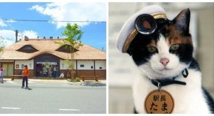 Станция Киши – памятник, посвящённый хвостатой начальнице станции (11 фото + 1 видео)