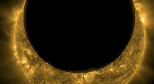 Космическая обсерватория НАСА сделала потрясающие снимки солнечного затмения (5 фото + 1 видео)