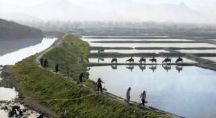 Солянка з цікавих ретро-знімків із країн Азії (20 фото)