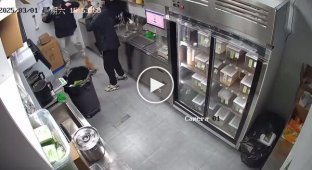 Cats suddenly started falling from the ceiling in a Chinese restaurant