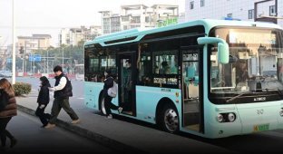 Passengers vote to choose where the bus will go (5 photos)