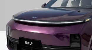 Li Auto объявила об убытках впервые за три года (2 фото)