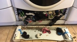 Тайна раскрыта: вот куда пропадают носки в стиральной машине (4 фото)