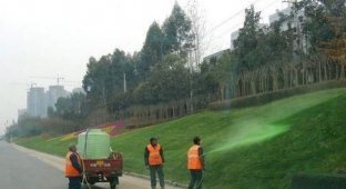 Озеленители в Китае (4 фото)