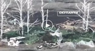 Уничтожена антенна средства радиоэлектронной борьбы, ликвидированы 9 оккупантов под Волчанском