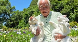 Японский дедушка любит гулять и фотографироваться со своими кошками (10 фото)
