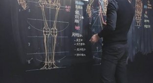 Тайваньский преподаватель потрясающе рисует на доске иллюстрации к лекциям (8 фото)