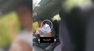 In the US, an eagle flew into a taxi