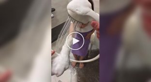 В Японии создали «умный» душ с режимом пены