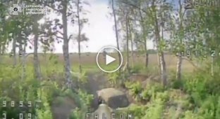 Пограничники поразили орудия, точки запуска дронов, наблюдательные пункты и огневые позиции россиян
