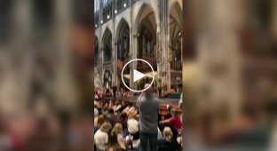 An organ concert with the soundtrack from the film “Interstellar” was held in the Cologne Cathedral