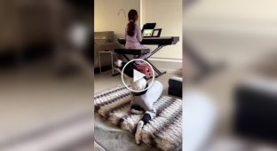 Собака підспівує маленькій господині