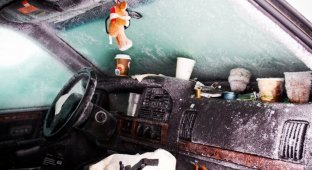 Швед выжил после 2 месяцев, проведенных в заваленной снегом машине (7 фото)