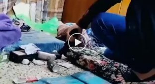 Необычный способ разбудить друзей