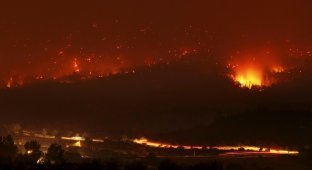 Лесные пожары в Аризоне (36 фото)