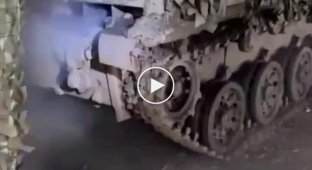 Rats entered a Russian army vehicle