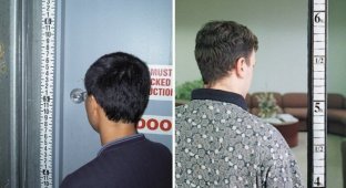 Почему в американских магазинах у дверей повсюду есть линейки для измерения роста (10 фото)