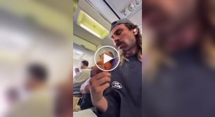 Мужчина съел луковицу прямо в самолете: пассажиры в шоке, стюардесса заливает салон освежителем