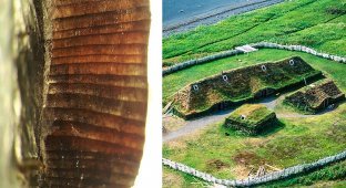 Ученые нашли доказательства, что викинги открыли Америку задолго до Колумба (6 фото)