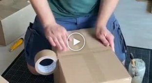 Making a cat castle from boxes with your own hands