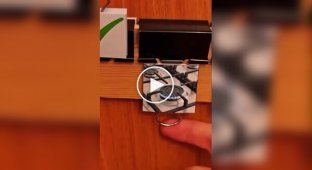 Домашня хитрість для тривожників