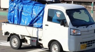 Напал на сотрудника и разгромил мясной отдел: в Японии медведь вломился в супермаркет (2 фото + 1 видео)