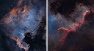 And from our yard the whole galaxy is visible: breathtaking photos from an amateur astronomer (36 photos)