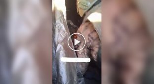 Медик-оккупант в окопе консультирует соратника с разорванной рукой
