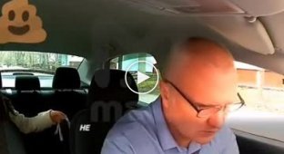 Видео из салона такси, водитель которого, якобы, избил Викторию Даниленко (мат)