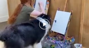 Удивительная собака, которая умеет рисовать