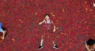 В Китае состоялись сумасшедшие соревнования по поеданию острого перца (12 фото)