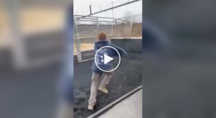 Парень решил проверить себя на прочность и воспользовался конструкцией для тренировки лошадей